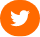 Logo Twitter